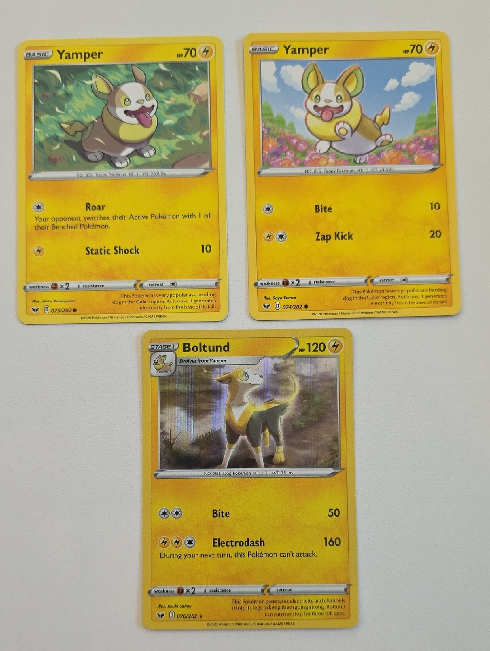 Pokemon Yamper And Boltund Trading Cards